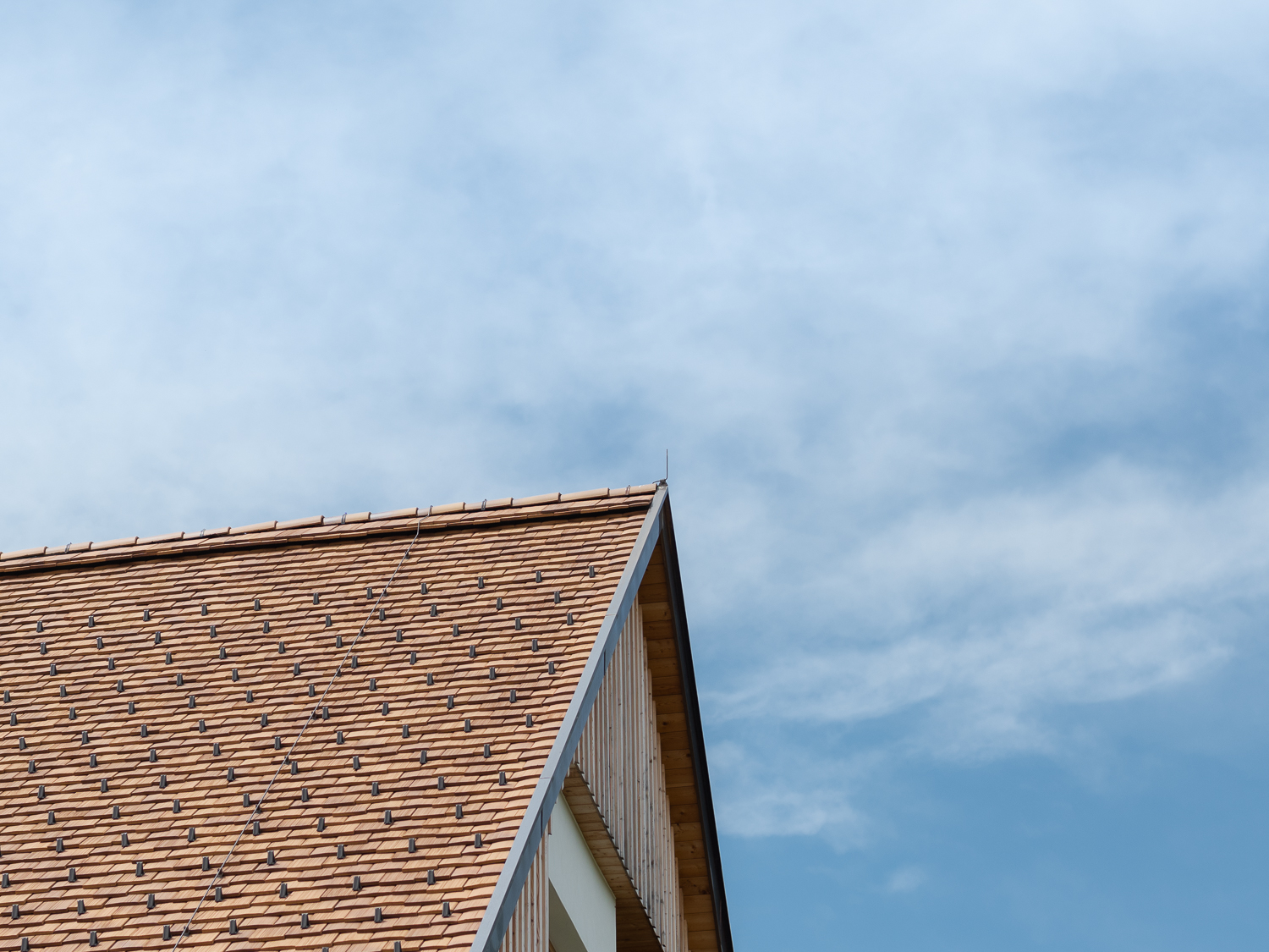 Fräulein Leni in der Südsteiermark